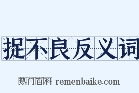 捉不良反义词是什么意思的图片